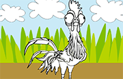 Juego Colorear HeiHei